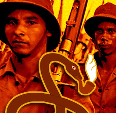 Força Expedicionária Brasileira